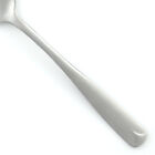 Oneida Northland Village Common Stainless Glossy Silverware Choice Flatware