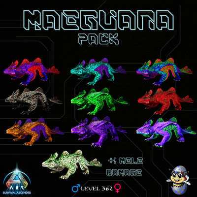  -Maeguana-64800-FOOD-MAX-RANGE-Pack-Ark-Survival-Ascended-PvE-BusyBee