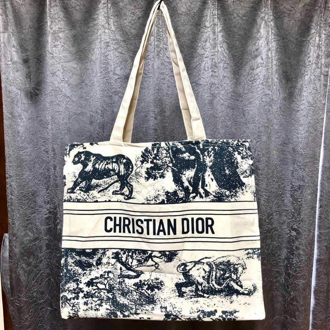 Dior beach top bag price