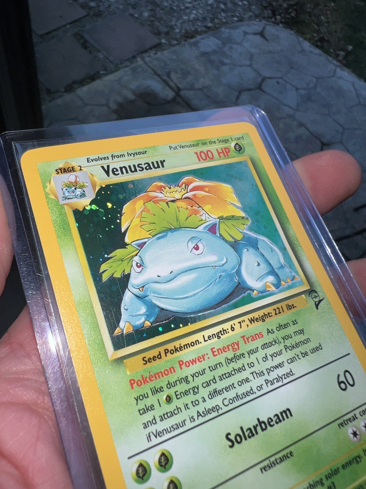 NM+ Venusaur Base Set 2 18/130 Holo Unlimited Holo Rare Pokémon Tcg eBay