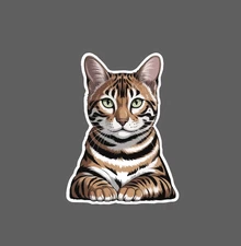 Bengal Cat Sticker Pet Animal Friend Breed Beautiful Gift Waterproof NEW