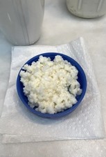 Live Kefir Grow Kit Includes 40 Year Old Russian Grains Ready To Grow add Milk 