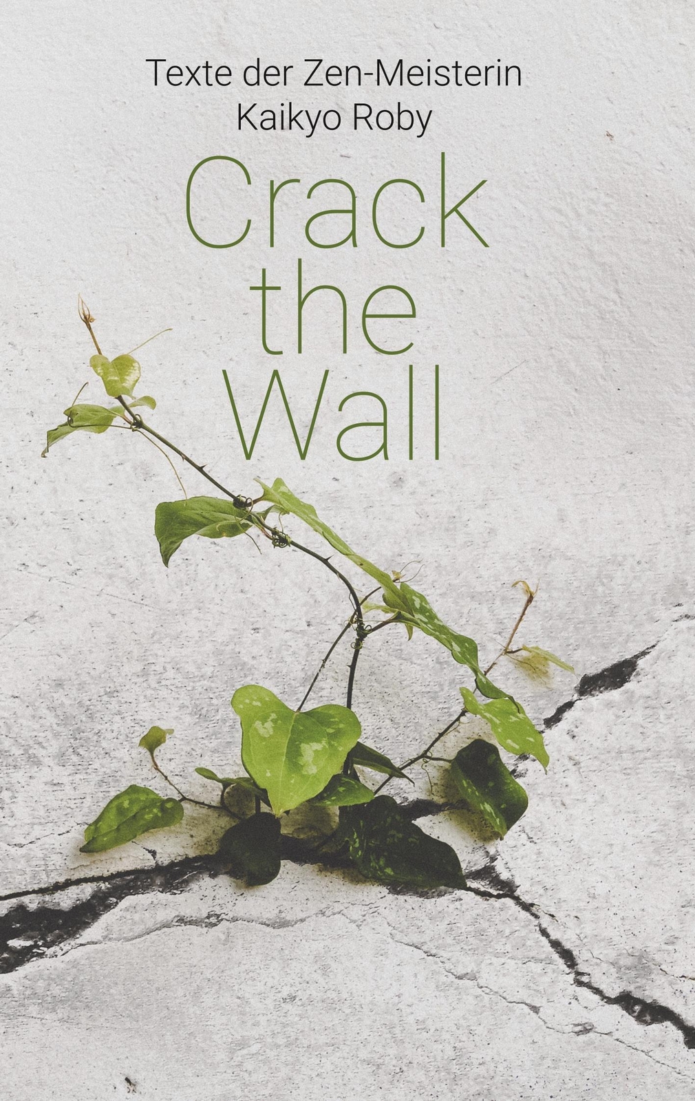 Thumbnail - Crack The Wall | Kyoku Barbara Lutz | Taschenbuch | Paperback |