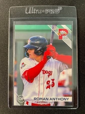 2024 Choice Portland Sea Dogs Team Set (Red Sox) You Pick Free Shipping!!!