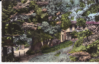 CPSM SAINT LEU LA FORET