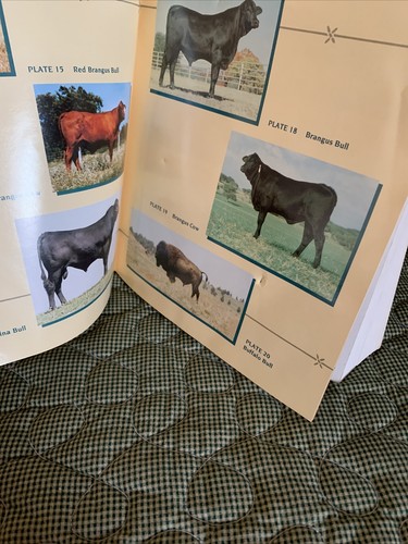 Modern Livestock And Poultry Production Fourth Edition Book By James Gilespie - Imagen 5 de 10