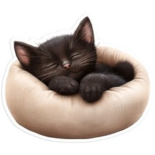 Sleeping Black Kitten - Vinyl Decal Sticker - Car Window Laptop - 1195