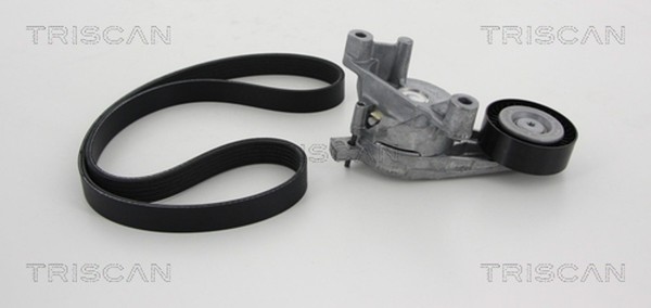 Triscan Keilrippenriemensatz 8642 29002 FüR Skoda Octavia Golf VW XL Audi Superb-image