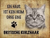 Holzschild 30X40 Cm Britische Kurzhaar Katze Deko Geschenk Holz Schild