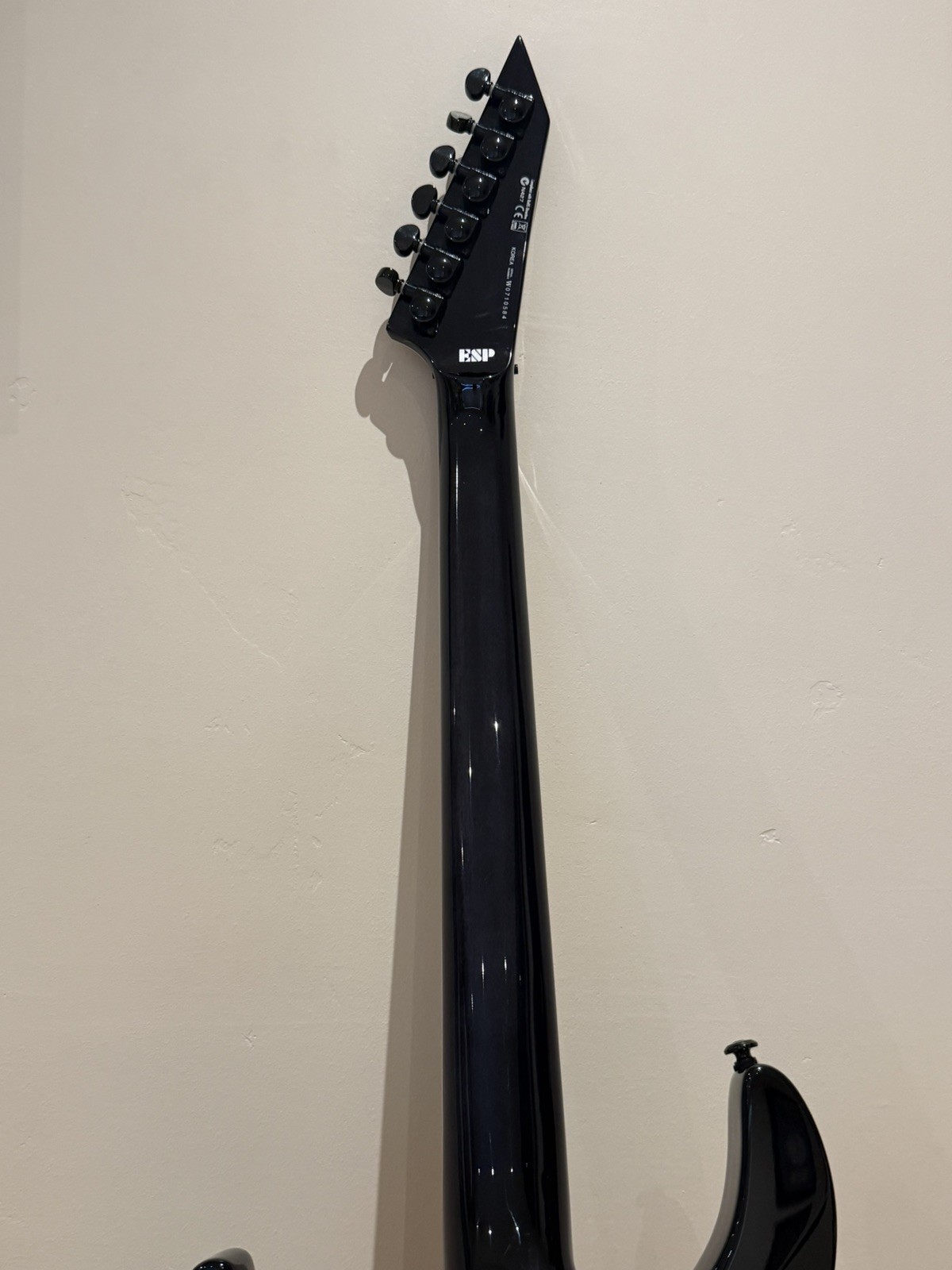 Picture 5 of 11