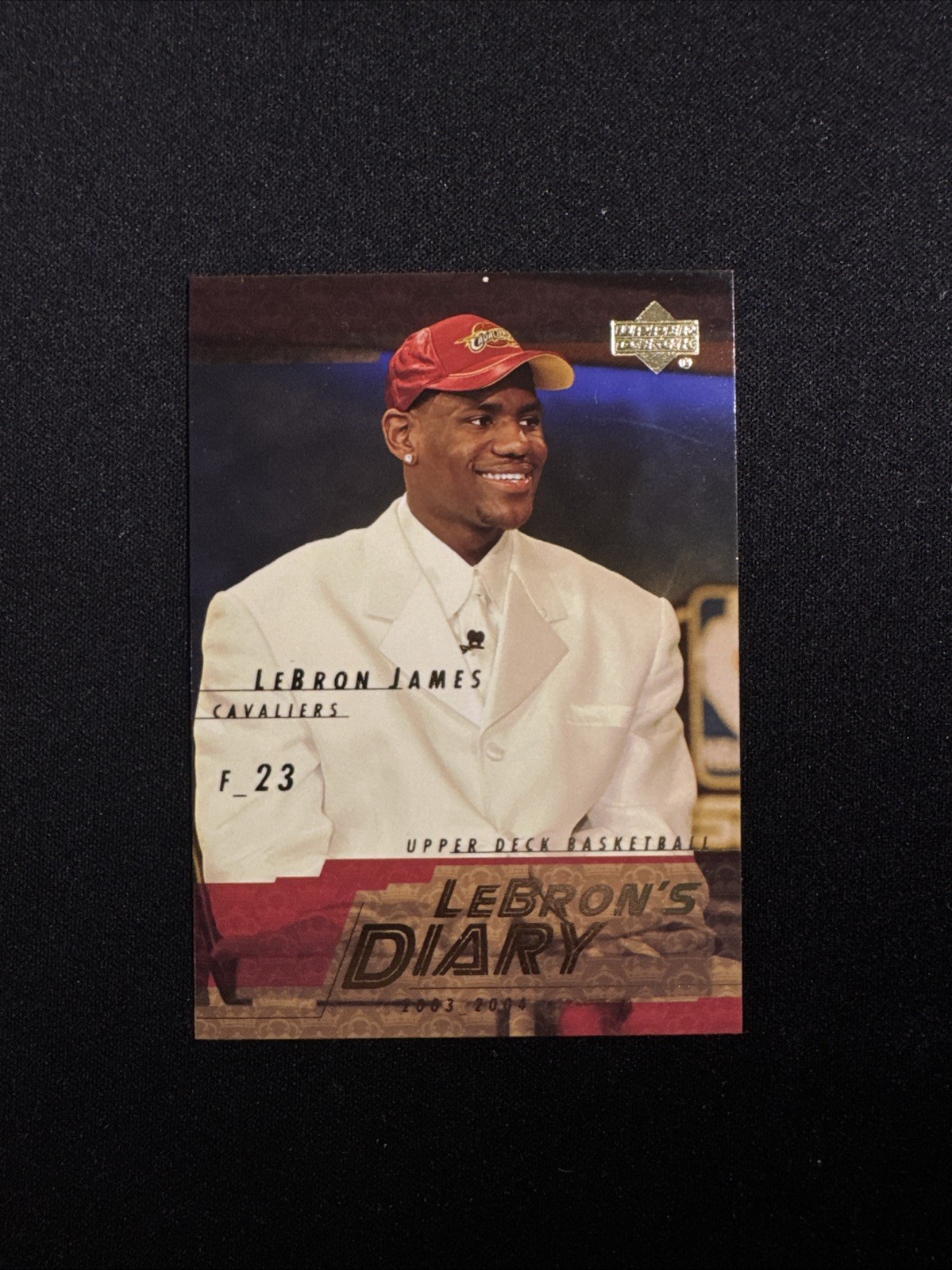 2003-04 Upper Deck #LJ5 LeBron James LeBron's Diary - RC Rookie