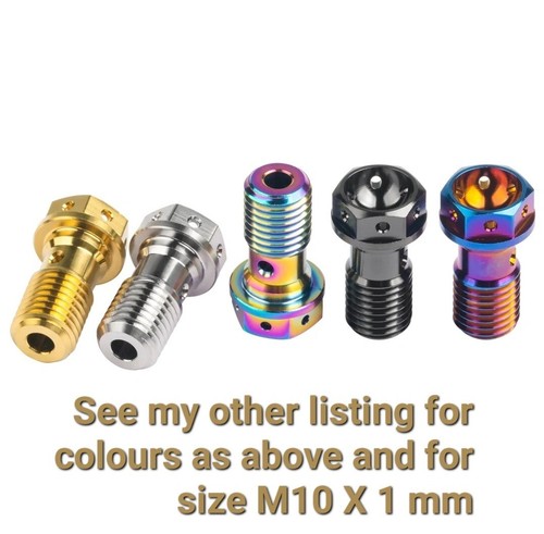 1 x Single Titanium Banjo Bolt Screw M10 x 1.25 for Brake Calipers - Picture 2 of 2