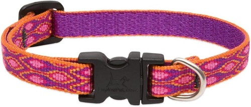 Lupine Originals "Alpen Glow" Dog Collars - 第 8/13 張圖片