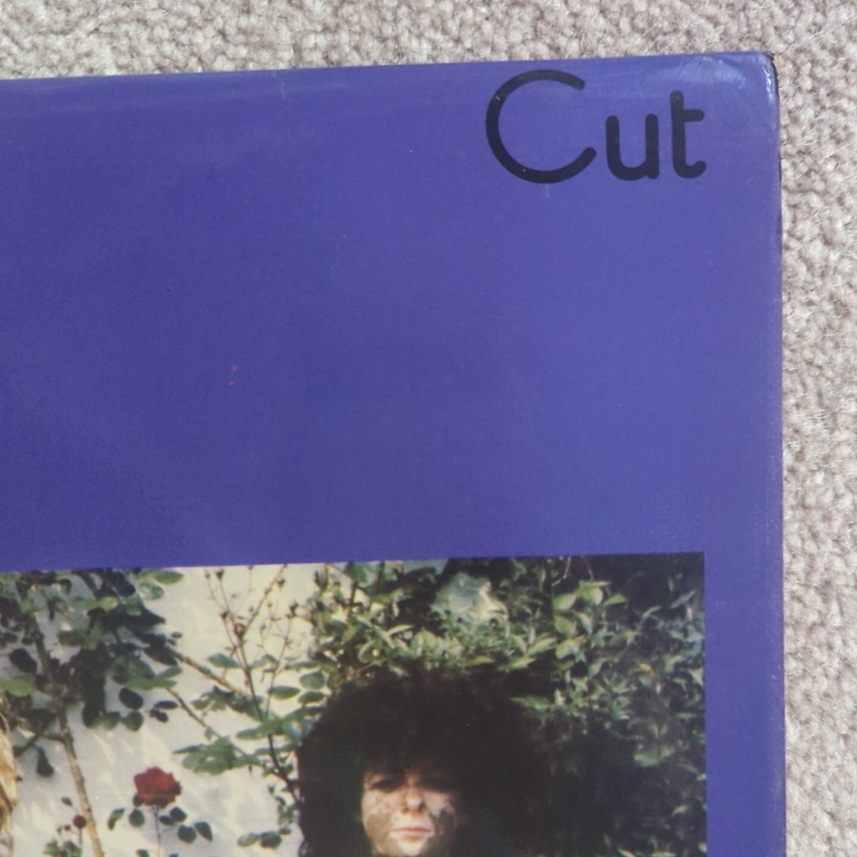 THE SLITS – CUT. Vinyl Record. 1979 UK ORIG LP. PUNK VIV