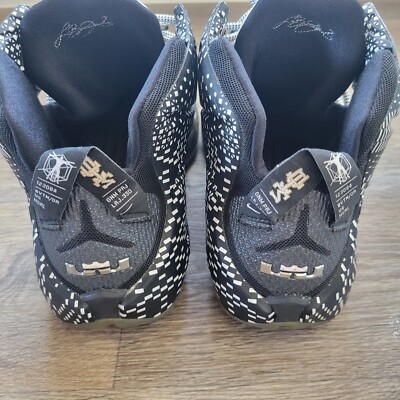 Nike LeBron 12 BHM 2015 718825-001 Size 12 | eBay