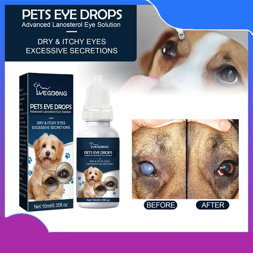 Lanosterol eye drops for dogs reviews hot sale
