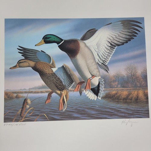 1988 Virginia FIRST of State Waterfowl Duck STAMP PRINT FOLIO Ron Louque Mallard