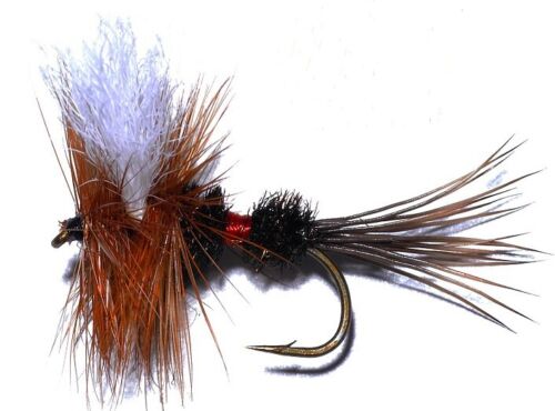 10 Royal Wulff Dry Fly Fishing Flies - Picture 2 of 3