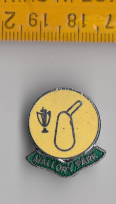 Vintage Emaille MALLORY PARK CIRCUIT Motorrad Pin Anstecker Logo England Kirkby 