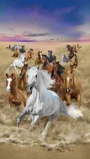 Wild Horses Panel 24" x 44" Timeless Treasures BTY 44 Inches Wide