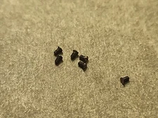 Lot Of 6 NOS Elgin 10s Pocket Watch Minute Wheel Clamp Screws P/N 5595