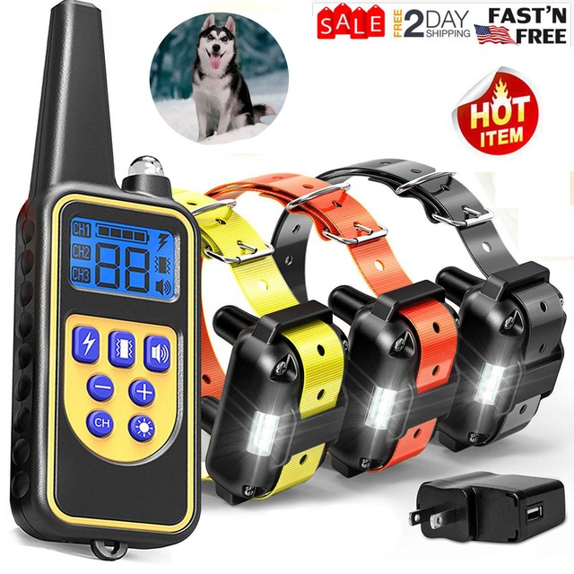 dog training collars ebay