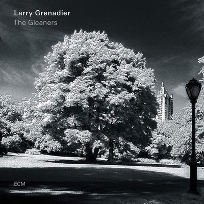 Larry Grenadier The Gleaners (CD) Album (US IMPORT)