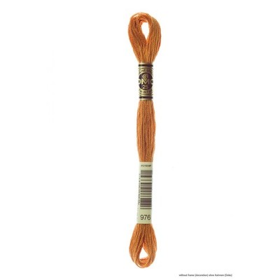 DMC Stickgarn Mouline Special 117MC -976, 6-fädig, 8m