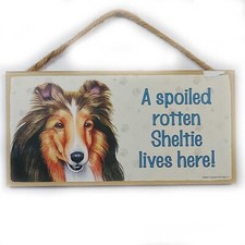 A Spoiled Rotten Sheltie Lives Here 5 x 10 Wooden Sign