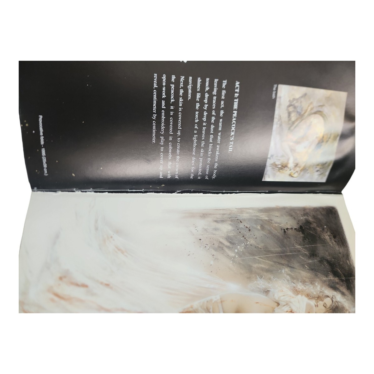PROHIBITED Book by Luis Royo 2nd Ed Hardcover Heavy Metal w PROHIBITED Book by Luis Royo 2nd Ed Hardcover Heavy Metal w