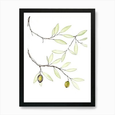 Olivenzweig Kunstdruck gerahmt Wandbild Poster Leinwanddruck Bild