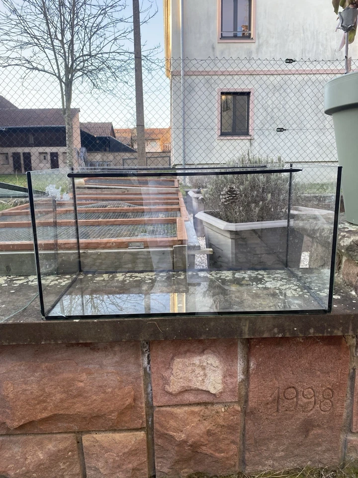 terrarium - Photo 2/3