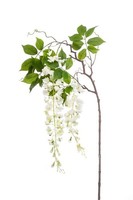 Artplants KüNstlicher Zweig Blauregen Nissrine Mit BlüTen, Weiß, 145Cm