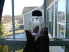 Foto 9 di 9