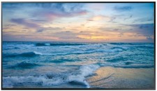 Samsung 50" Class 4K 2160p Smart QLED TV QN50LS03DDF 