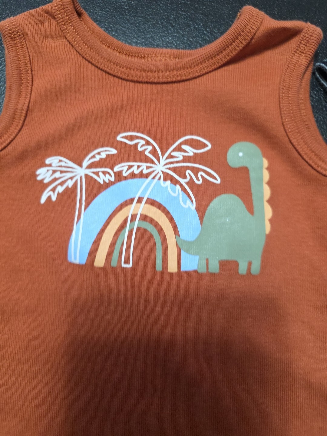 Boys Sz 3m,3-6m  Short Outfit And Thin Pant Outfit image 3
