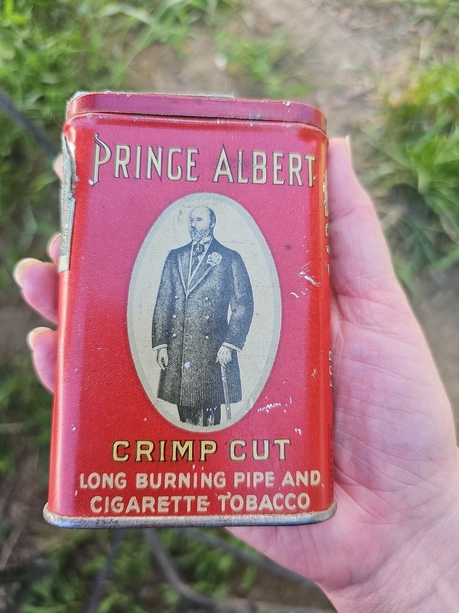 growing a tobacco plant How to Grow, Harvest and Cure Tobacco growing a tobacco plant How to Grow, Harvest and Cure Tobacco