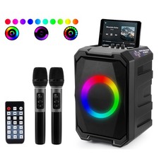 800W Bluetooth Party Speaker LED Light Wireless Party Speaker with Mics Remote