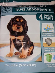 kennel club training