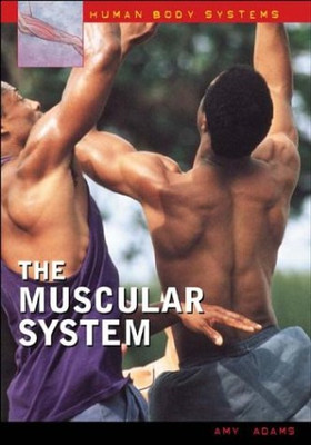 The Muscular System (Human Body Systems)
