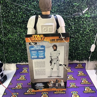 Star Wars Luke Skywalker Stormtrooper Disguise 31