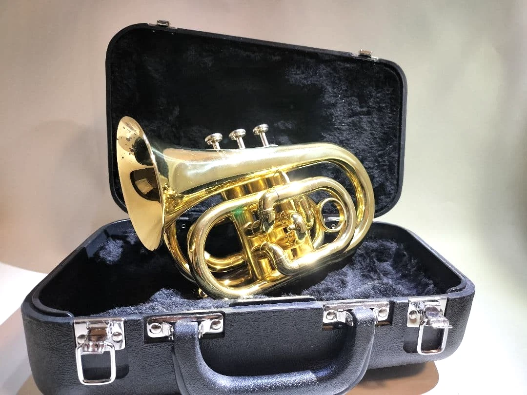 Las mejores ofertas en Instrumentos de Bronce Oro Jupiter | eBay