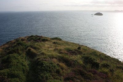 Foto 6x4 Blick aufs Meer von Dinas Fawr Lower Solva grüne Narbe und R c2017