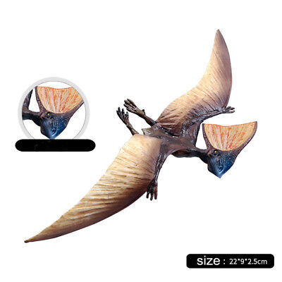 In Stock Vitae Zhejiangopterus Dinosaur Model 1/35 16cm Static Statue  Pterodactyloidea Azhdarchidae Pterosaur