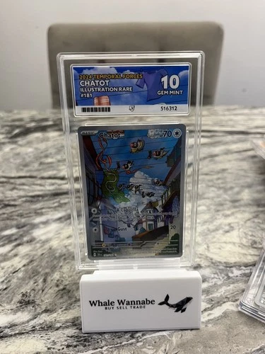 Ace 10 Chatot 181/162 Temporal Forces Illustration Rare Pokémon TCG Card