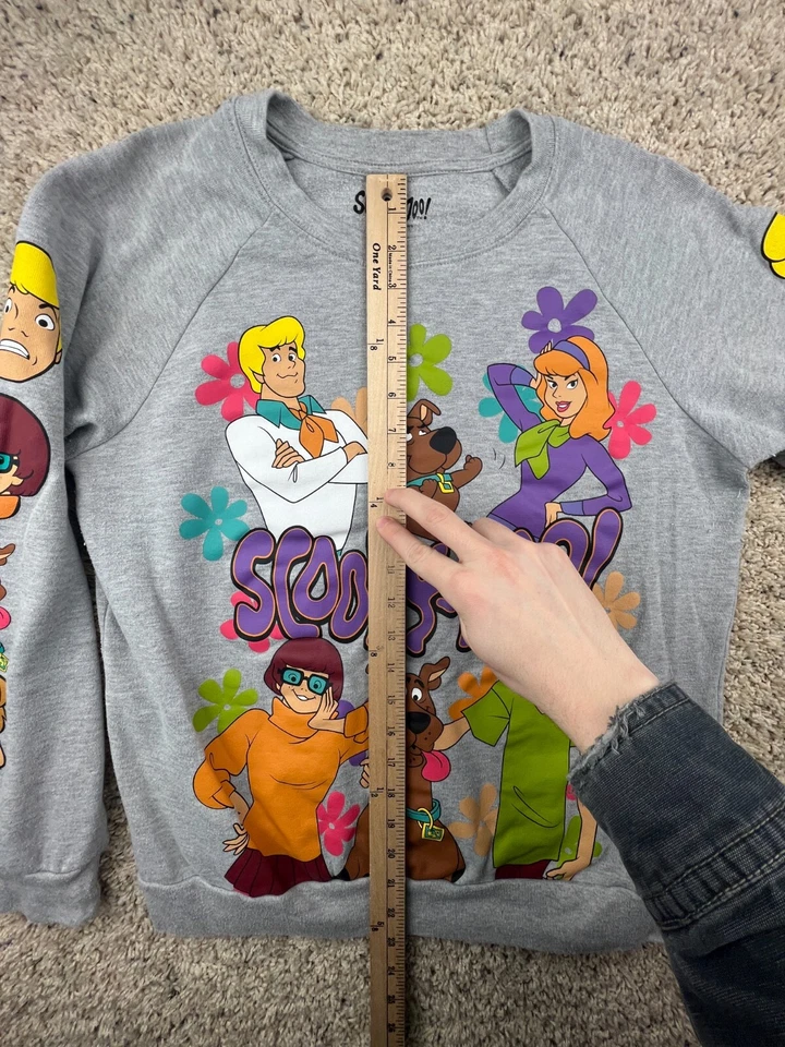 Scooby-Doo серый толстовка ворота графический мальчиков средний 7-9 длинным рукавом флис - Изображение 3 из 4