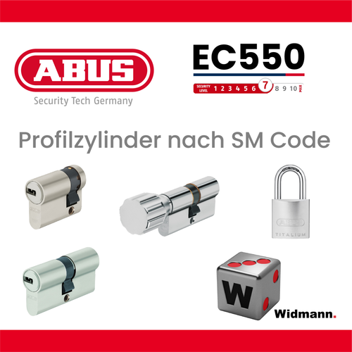 ABUS Profil Double Cylindre EC550, BL30/35, N+G, 3 Clés Réversibles