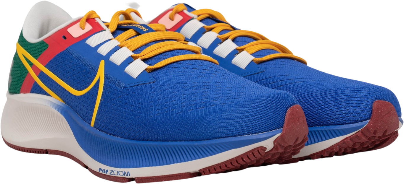 Nike Jordan Moss x Air Zoom Pegasus 38 A.I.R. All Ways, Always for