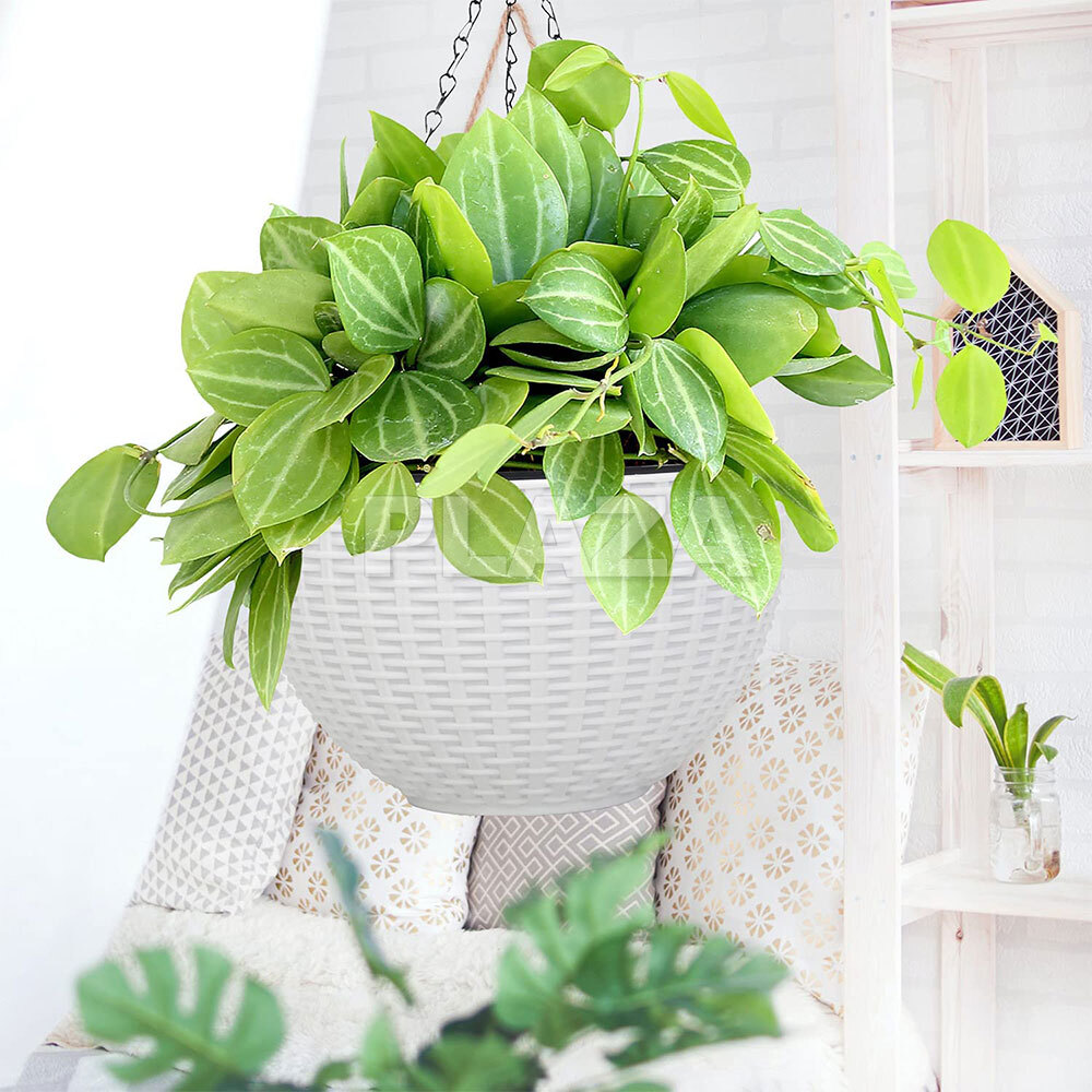 2PCS Landen Rattan Hanging Plant Pots Flower Baskets Hanger Self Holder