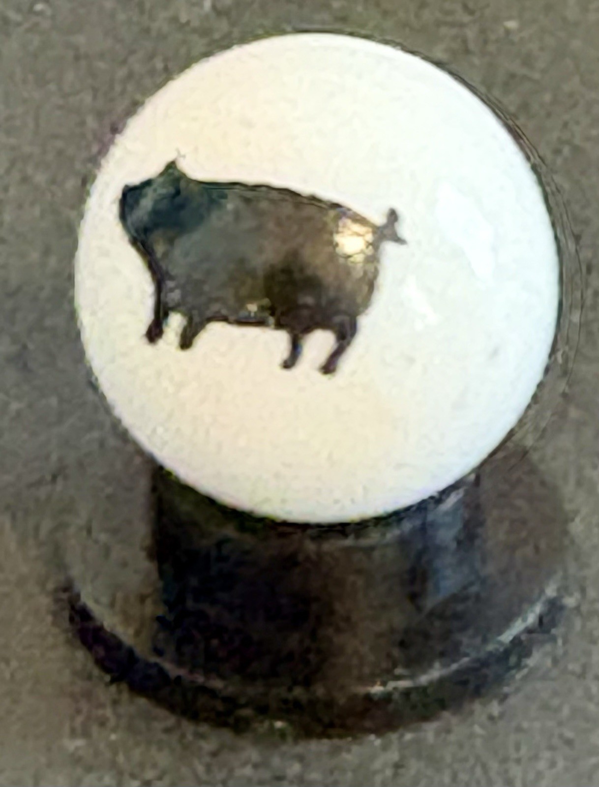 Picture 4 of 5